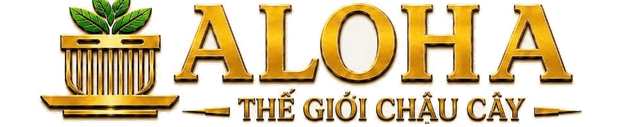 ALOHA - Thế Giới Chậu Cây
